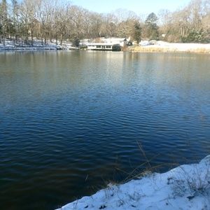 Meet your Posher, Pete